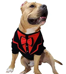 Doxters Dog Tuxedo Xtra Large, for Labrador, German Shepherd, Golden Retriever, Rotwieller, Bull Mastiff, 007 Mr Bone Red, Black & Red S32