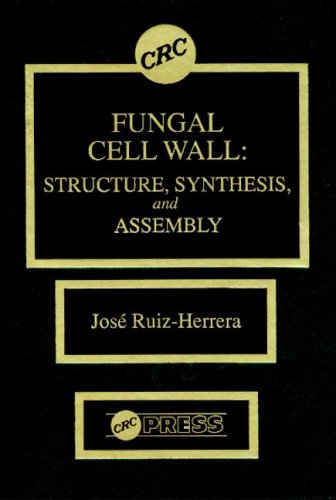 Fungal Cell Wall: Structure, Synthesis, and Assembly livre