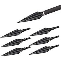 Fleche Arbalete Chasse Pointe 12 Pointes De Flèche 100 Grains