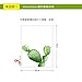Produktbild PVCOLL Fensterfolie Glasfolie 3D Kunst Effekt Fenster Aufkleber Privatsphäre Kreative DIY Matte Statische Glue-Free Glas Innen Badezimmer Badezimmer Fenster Schiebetür (Kaktus), Kkk