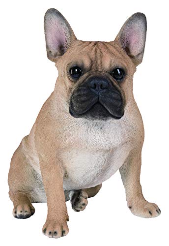 Vivid Arts - Real Life Sitting French Bulldog Home or Garden Decoration (XRL-SFBD-A)