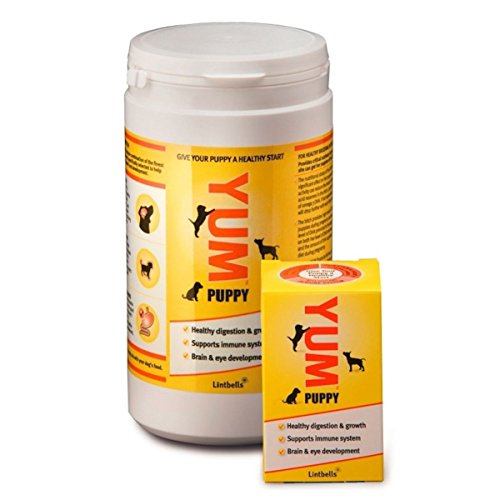 Lintbells-YUM-Puppy-Nutritional-Supplement-for-Puppies-35g