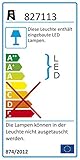 Schwenkbar Paul Neuhaus Deckenleuchte Inigo 6x LED-Board 5 W, inklusiv Stahl 6965-55