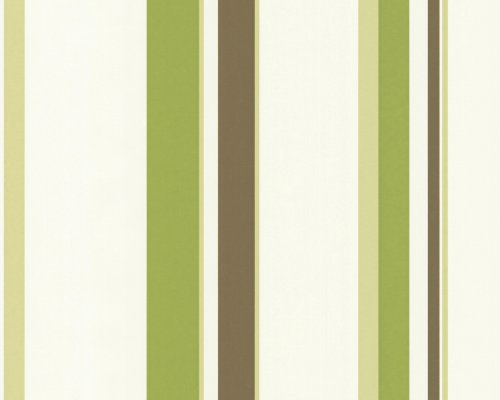 A.S. Creation 237231 Preiswerte Vliestapete OK 4 grün / braun / weiß