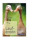 Image de Laufenten: Alles über die quirligen Schneckenfresser