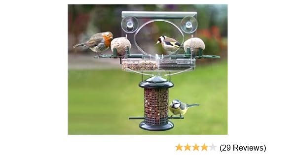 Total Window Bird Feeder Amazon Co Uk Garden Outdoors