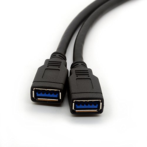 USB 3.0 Motherboard Adapter Kabel 20/19 Pin Header Konvertieren zu zwei weiblich A Typ führen für Heimwerker Gaming PC 25 cm - 2