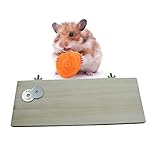 Funktionen: Funny PET Spielzeug, Plattform, SpringBoard.