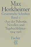 Image de Gesammelte Schriften in 19 Bänden: Band 1: » Aus der Pubertät. Novellen und Tagebuchblätter « 1914-1918 (Max Horkheimer, Gesammelte Schriften in