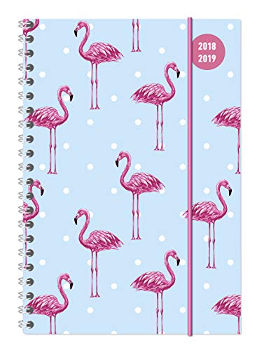 Collegetimer A5 Flamingo 2018/2019 - Ringbuch