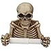 Produktbild Novelty Skull Shape Tissue Holder Wall Hanging Kitchen Bathroom Toilet Roll Paper Towel Rack Plastic Holder Home Supplies