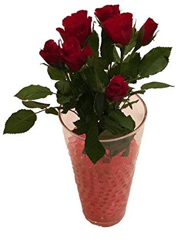 10 Liter Wasser Bällchen Kugeln Dekoration Perlen über 4.000 Stück (100Gramm) – Pflanzen Blumen Dekoration Tischdeko Deko & Raumluft Befeuchter (Rot) - 4