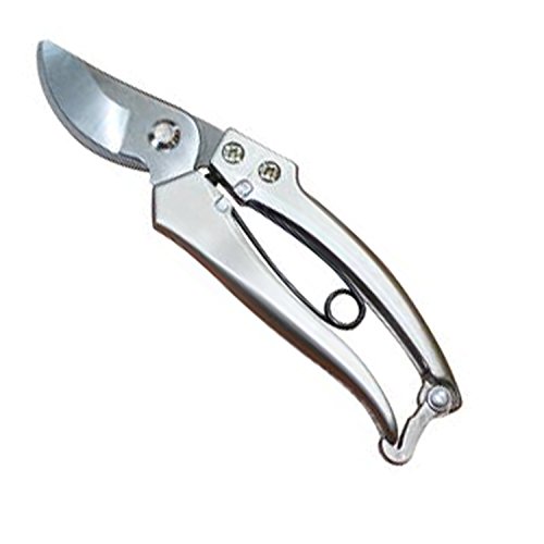 Edelstahl Geflügelschere mit Feder