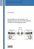 Image de Kanalschätzung, Demodulation und Kanalcodierung in einem FPGA-basierten OFDM-Funkübertragungssystem