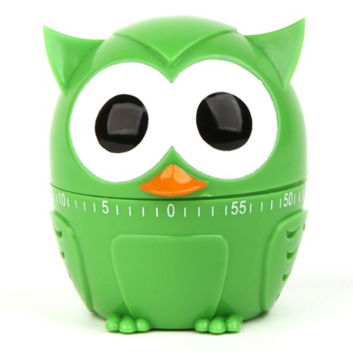 Eulen Eieruhr Küchentimer Owl Kochen Backen Grün