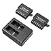 Price comparison product image GoPro Battery RAVPower HERO5 Black/HERO6 Black Camera Battery Charger Set (2-Pack Replacement Battery Kit, Dual Battery Charger with Micro USB and Type-C Inputs)