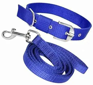 Doggos Tails Dog Neck Collar Belts and Leash Set Medium Size Dog ( Size 1.5M-2M )( Blue )