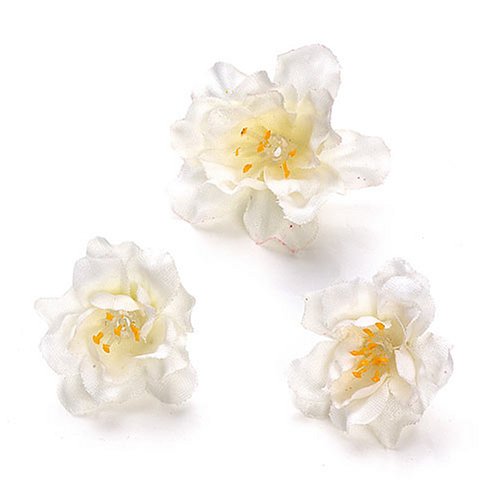 KnorrPrandell 6529790 Blüten, 2.5 cm, weiß