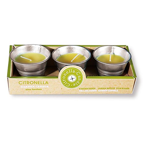HC-Handel 922590 Citronella Kerzen im Zinktopf 3er Set 6×5 cm sortiert - 2