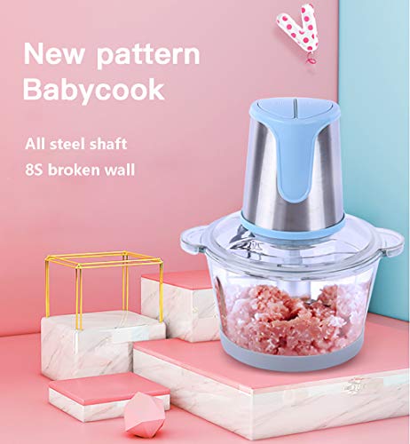 Preisvergleich Produktbild 2-Gang Küchenmaschine Multifunktional, Kitchen aid Gemüseschneider mit 300W Reinkupfermotor, Alle Stahlwelle, 2L Rührbecher Zum Zerkleinern von Rind- und Hammelfleisch, Mahlen von zerstoßenem Eis