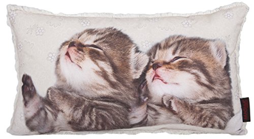 Sweety Katzenbabys - Deko Kissen 30 x 50 cm - Wendekissen mit süßen Katzen Motiv vorne - Rückseite ist beige und Fluffig
