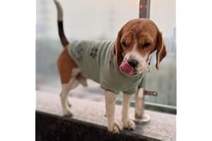 Lulala Turtleneck Dog Sweater - Winter Coat Apparel Classic Cable Knit Clothes with Leash Hole for Cold Weather, Ideal Gift for Pet (Green, 10 Inch)