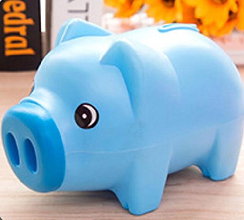 blue pig toy