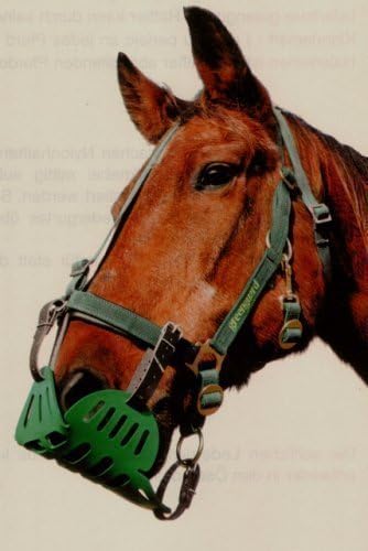 greenguard Collar, Size 60