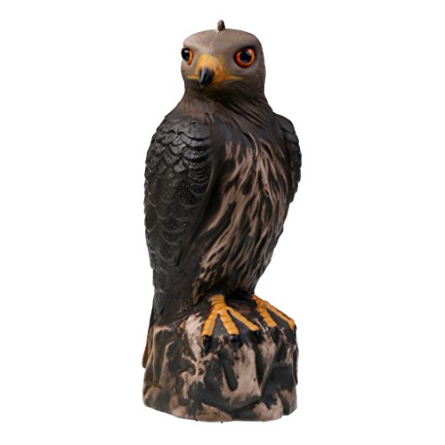 MagiDeal Gartenfigur Vogelscheuche Taubenschreck Garten Dekofigur - Adler / Taube Auswählbar - Adler