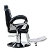 Hair Furniture Adonis Confident, Barber, Chair, Salon,Styling Chair, Barbers Chair