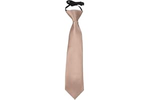 DQT Boys Plain Satin Wedding Formal Casual Elasticated Page Boy Pre-tied Neck Tie 2-7 Years