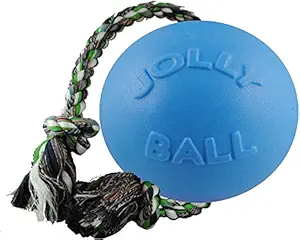 Jolly Pet Romp-n-Roll Blueberry, 6-Inch, Light Blue