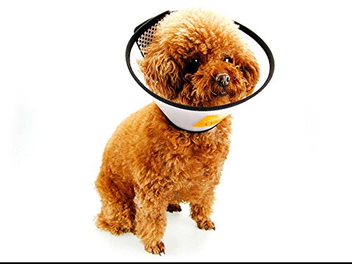 Elizabeth-Cats-Dogs-Protective-Recovery-Cone-E-Collar-with-Soft-Edge-and-Plastic-Snap-Closure-Used-for-Wound-Healing-Anti-Biting-Anti-Scratch