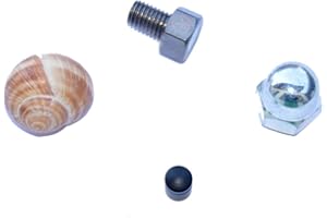 GEO-VERSAND 4 pcs Geocache Special D5 Set City Snail Fake Screw magnetic - Magnetic Nano Logsheets Cap Nut