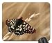Produktbild Mauspad Schmetterling in Weizenfeld Mauspad, Mousepad (Schmetterlinge Mauspad)