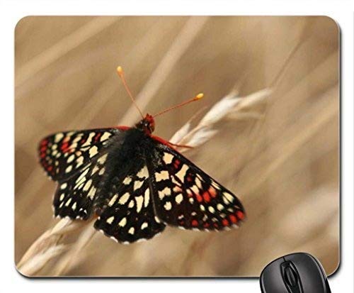 Preisvergleich Produktbild Mauspad Schmetterling in Weizenfeld Mauspad, Mousepad (Schmetterlinge Mauspad)