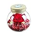 Produktbild BEENZY Handgemachte konservierte unsterblich gemachte Blume, 7 Farben-Nachtlicht Halten Sie Blumen mit Lichtern ewige Blumen, die Flasche Dekoration wünschen (Ne Contient Pas De Batterie)