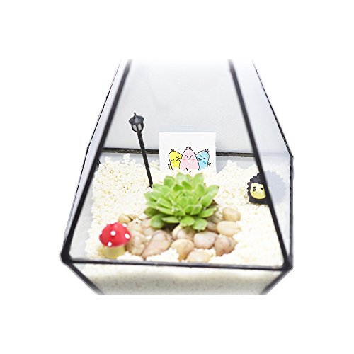Ultra 12x12x23.7cm Premium Qualität Glas Terrarium Dreieck mit Reifen und Cut-off Rand ideal für Moos und Pflanzen oder Dekorationen (12x12x23.7cm) - 5