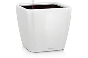 Lechuza Quadro Premium LS 50 Blanca de Alto Brillo 16280