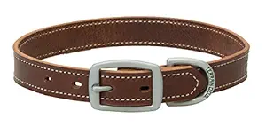 Terrain D.O.G. Bridle Leather Dog Collar, 1