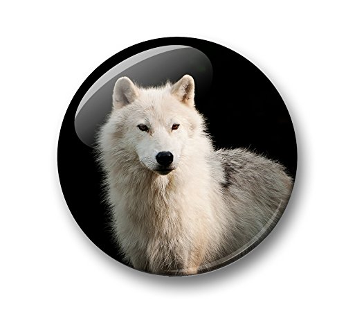 Wolf Wölfe Grauwolf europäischer Wolf – 6 große Kühlschrankmagnete Ø 5 cm [ 02 ] für Memoboard Pinnwand Magnettafel Whiteboard - 2