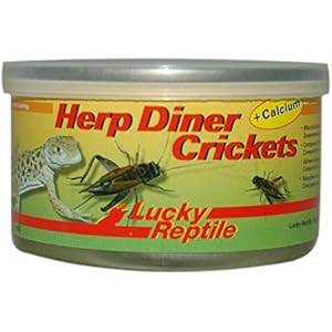 Lucky Reptile Herp Diner Crickets groß 35 g, 1er Pack (1 x 35 g)