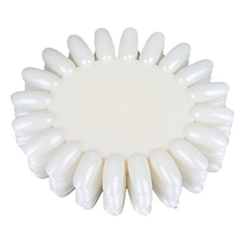 Fashion Gallery 10Pc Round Plastic Nail Art Tips False Display Wheel Practice 3D Color White