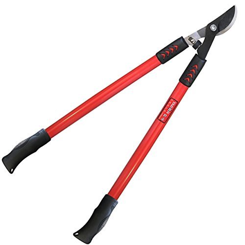 TABOR TOOLS Gl16 Professional Bypass Lopper, Tree Trimmer with ⌀ 3cm Cutting Capacity, Lopping She TABOR TOOLS Gl16 Professional Bypass Lopper, Tree Trimmer with ⌀ 3cm Cutting Capacity, Lopping She