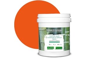 BOX DECO COULEURS Peinture naturelle écologique intérieur extérieur aspect mat Natura - 1L, Orange