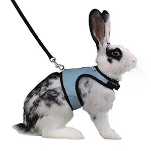 Niteangel Adjustable Soft Harness with Elastic Leash for Rabbits (Blue, Large)