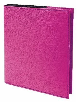 Preisvergleich Produktbild Quo Vadis Kalender Executif Prestige Club Grenadine Kalendarium 2011
