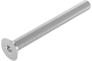 SECCARO Vite a testa svasata M8 x 80 mm, acciaio inox V2A VA A2, DIN 7991 / ISO 10642, esagono incassato, 20 pezzi