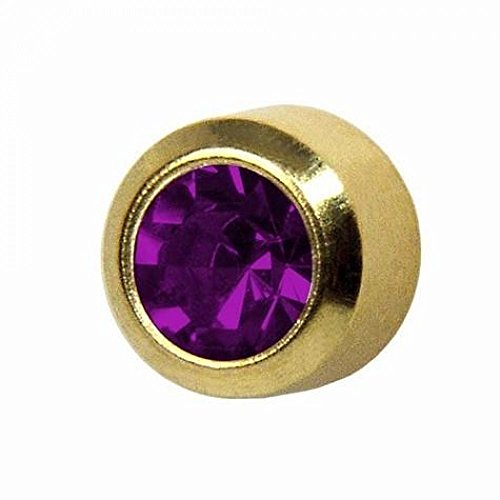 STUDEXFebruary/Amethyst Regular 4mm Gold Plated Bezel Setting Ear Piercing Stud Earrings Birthstone