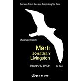 Seagull Jonathan Livingston